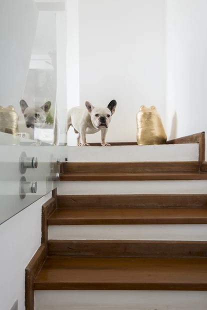 Projeto de arquitetura e interiores por Paula Haddad